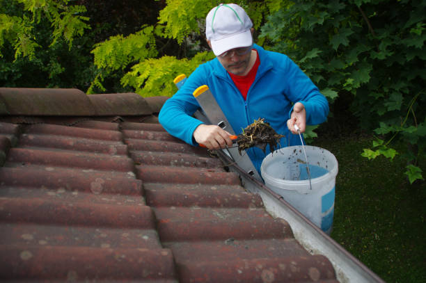 roof and gutter cleaning
