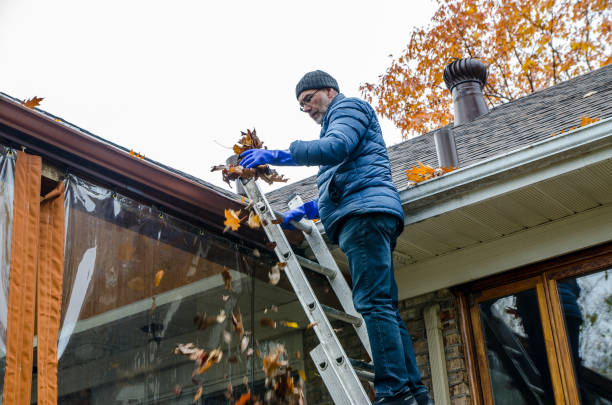 roof gutter cleaning
